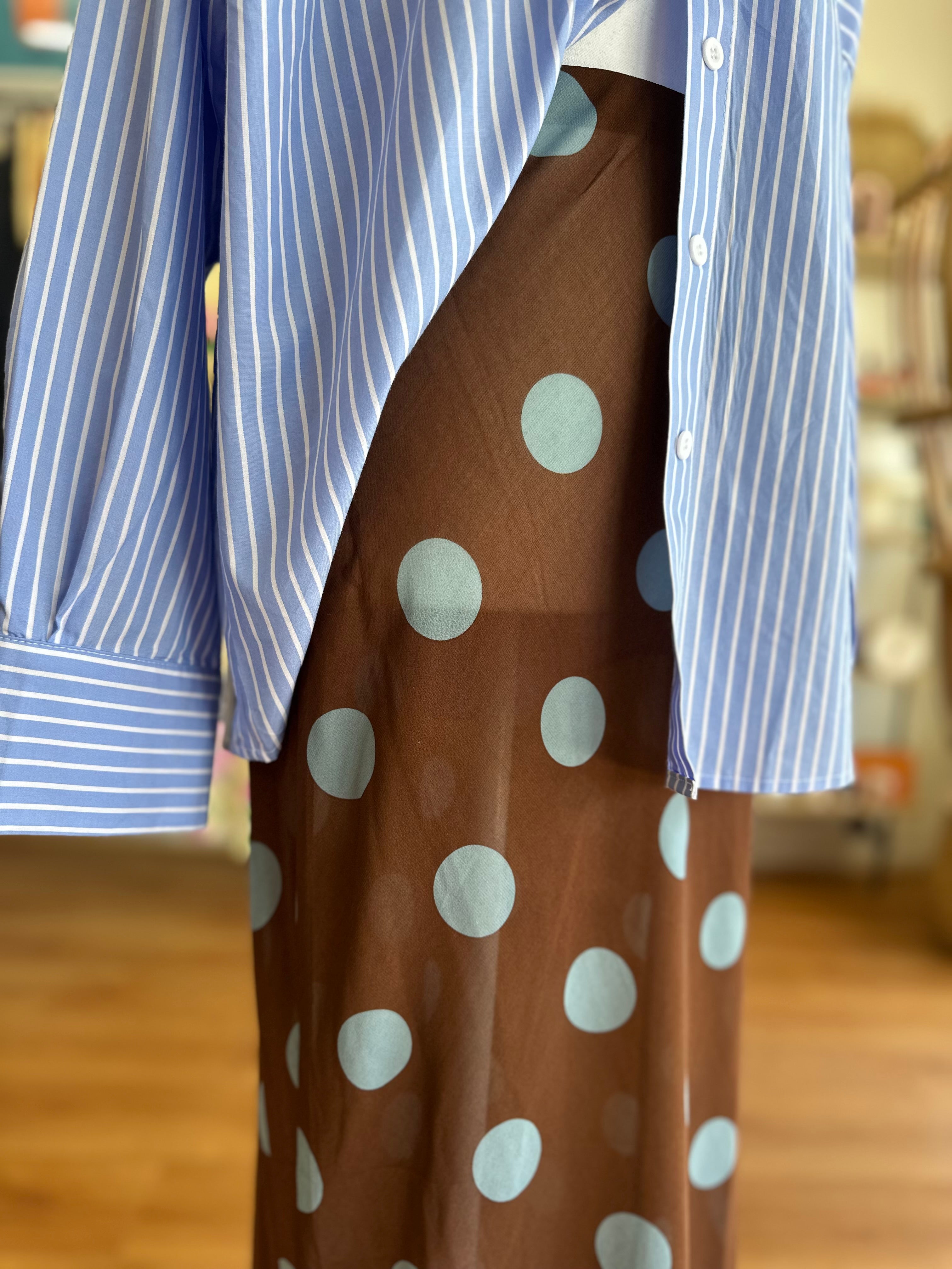 Brown/Blue Polka Dot Skirt