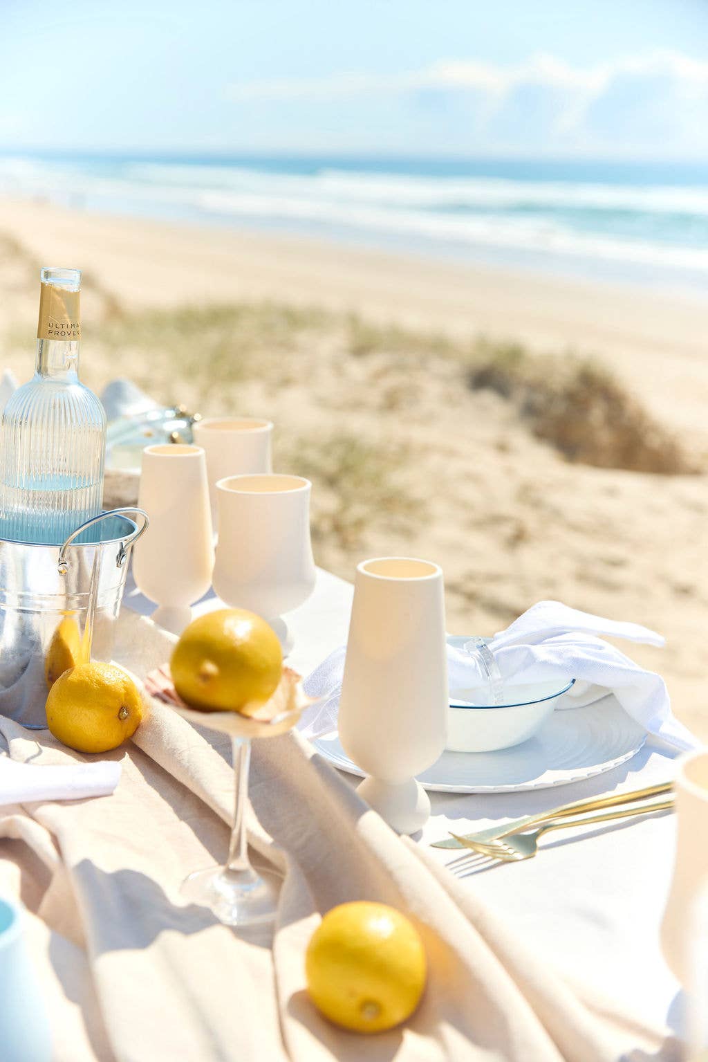 Bubble Champagne Flute Set | Unbreakable Silicone : Lemonchello