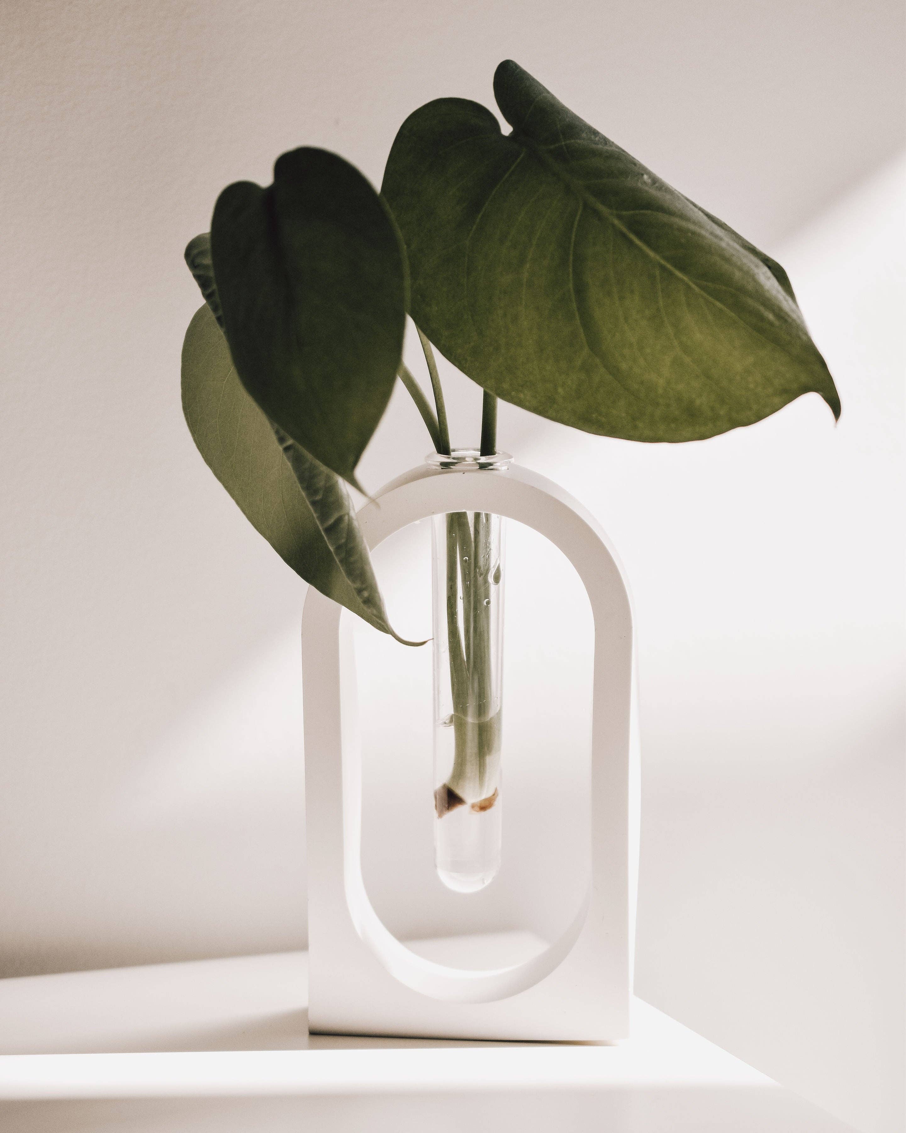 Milan Propagation Vase | Marble