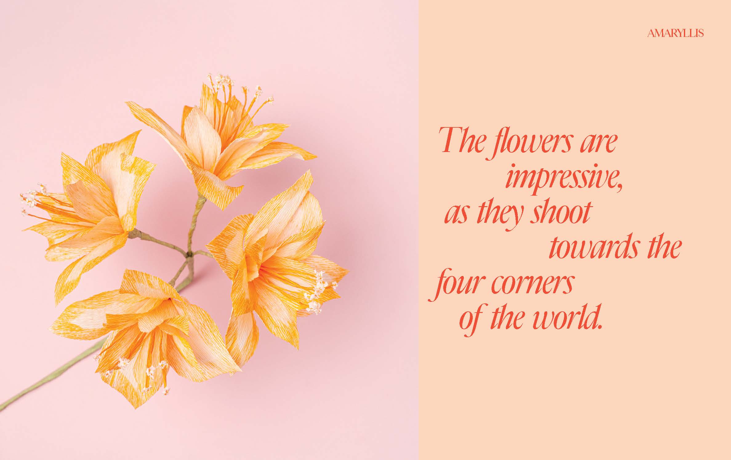 Paper Flowers Book