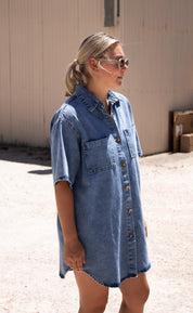 By Frankie Denim Dress