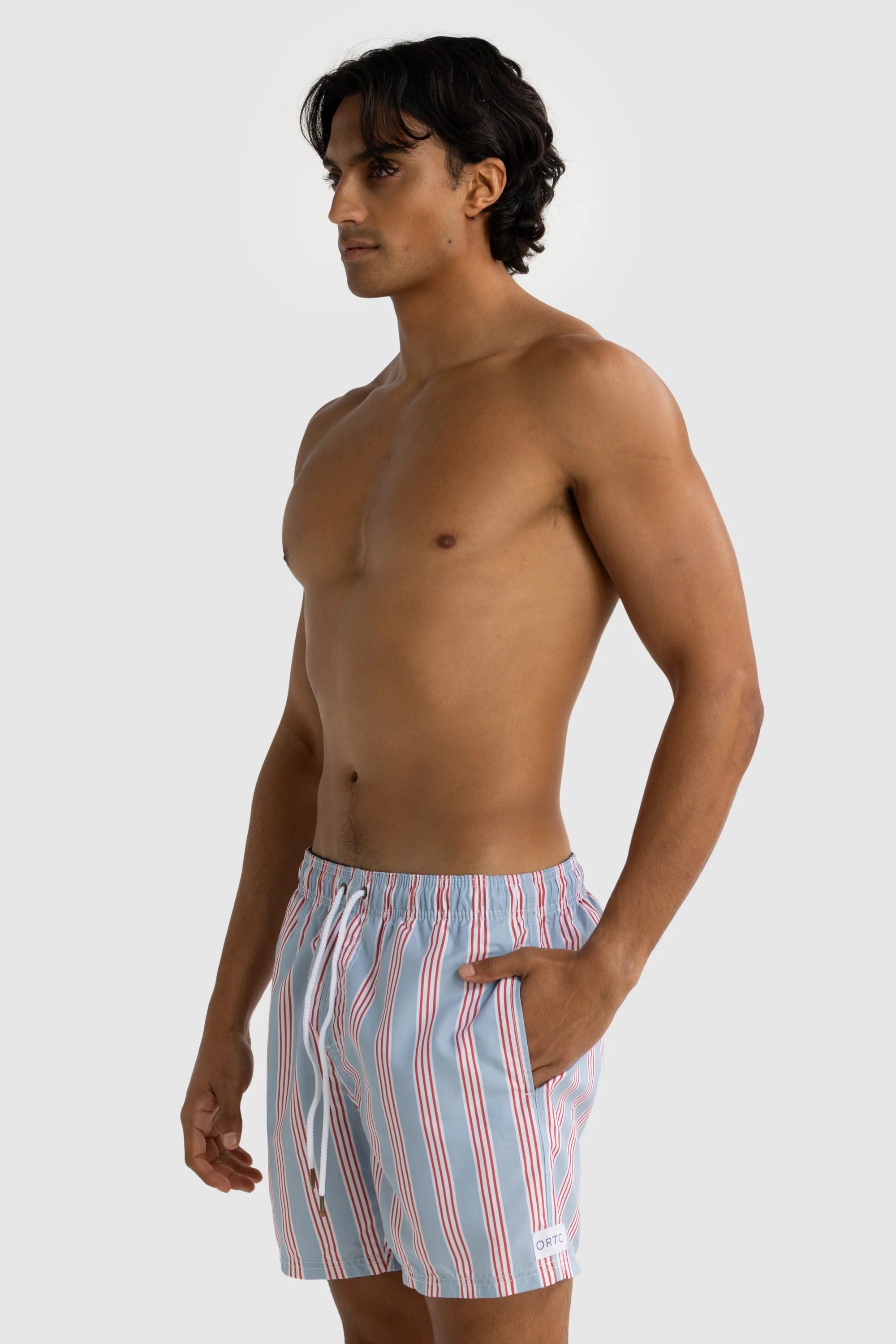 BoardwalkStripe Swim Shorts | Mist Blue