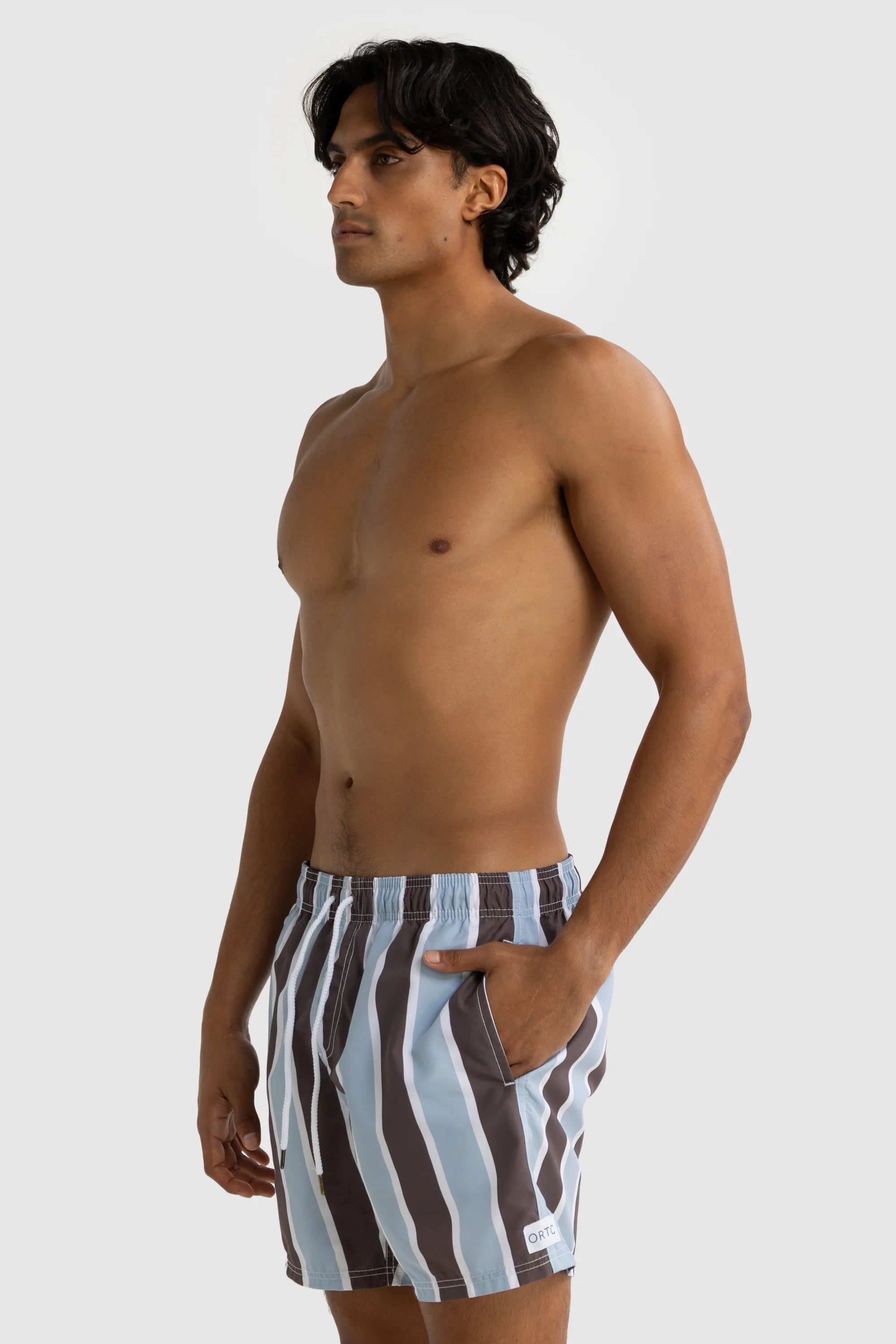Hamelin Stripe Swim Shorts | Bark & Mist Blue