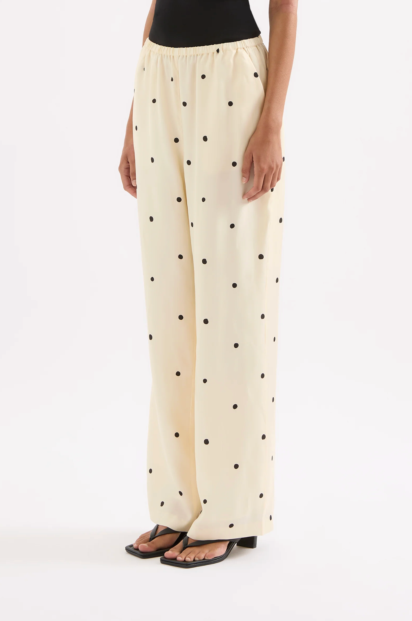 Xander Pant | Xander