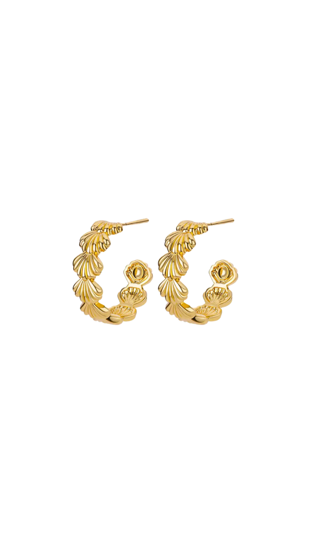 Seashells Gold Earrings | Yellow Gold