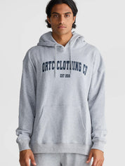 College Logo Hoodie | Grey Marle